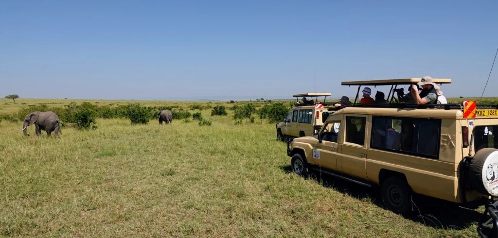 Discovering the Majestic Elephants of Masai Mara