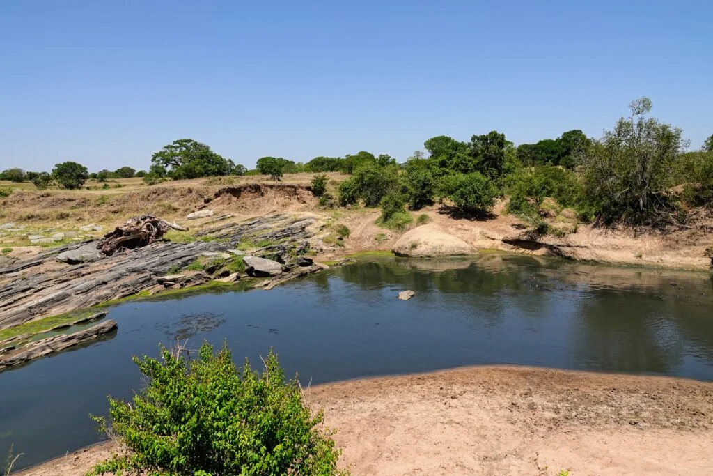 Hippo Pool Viewpoint