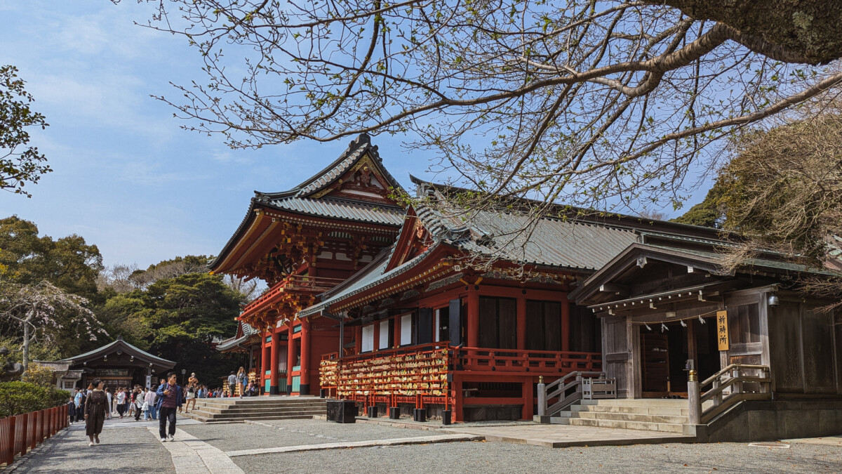 Tsurugaoka Hachimangū, Kamakura, Japan